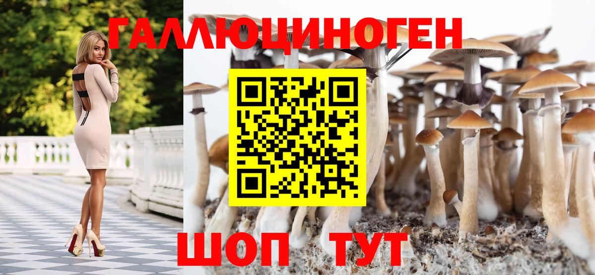 Псилоцибиновые грибы мухоморы Азов