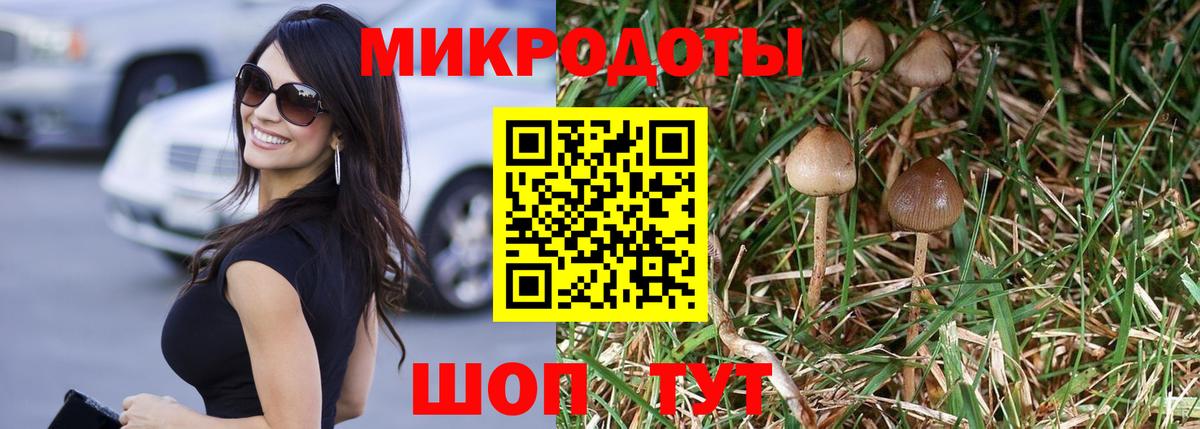 Азов  Псилоцибиновые грибы мицелий  Псилоцибиновые грибы мухоморы  наркота  Вход с VPN 